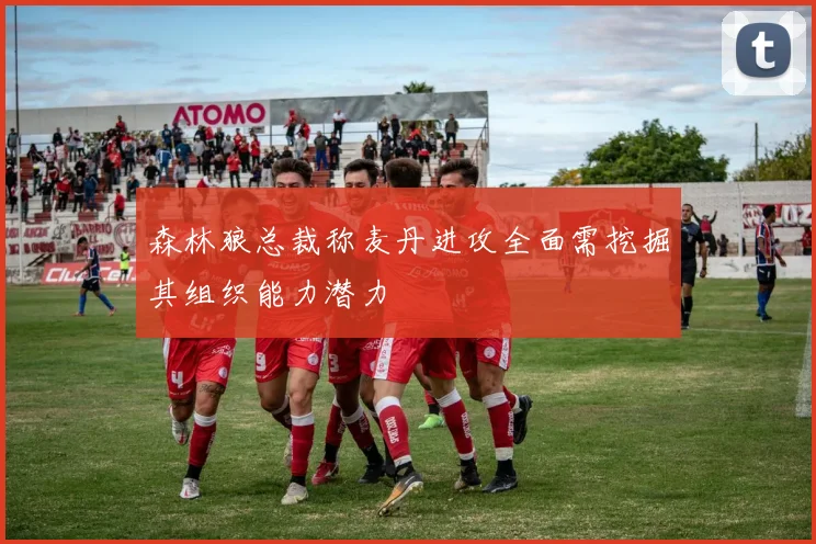 森林狼总裁称麦丹进攻全面需挖掘其组织能力潜力