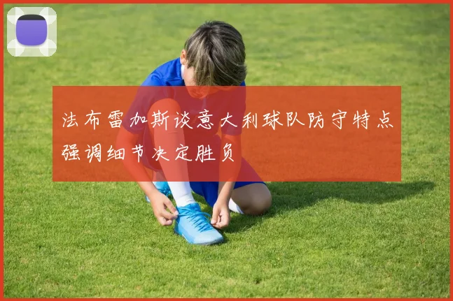 法布雷加斯谈意大利球队防守特点强调细节决定胜负