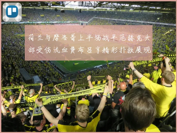 荷兰与摩洛哥上半场战平范赫克头部受伤流血费布吕亨精彩扑救展现实力